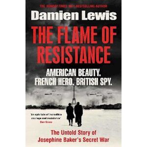 Damien Lewis The Flame Of Resistance