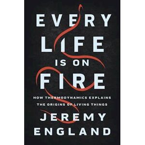 Jeremy England Every Life Is On Fire