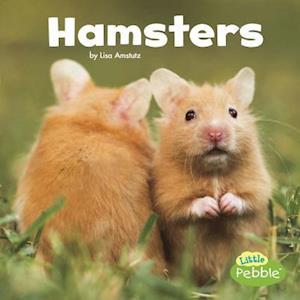 Lisa J. Amstutz Hamsters