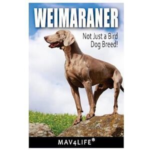 Mav4life Weimaraner: Not Just A Bird Dog Breed!