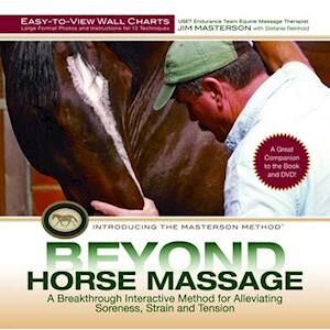 Jim Masterson Beyond Horse Massage Wall Chart
