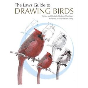 John Muir Laws The Laws Guide To Drawing Birds