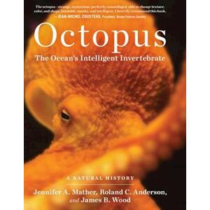 James B. Wood Octopus: The Ocean'S Intelligent Invertebrate