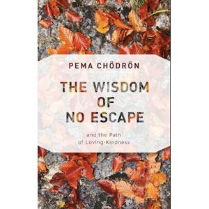 Pema Chodron The Wisdom Of No Escape