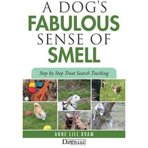 Anne Lill Kvam A Dog'S Fabulous Sense Of Smell