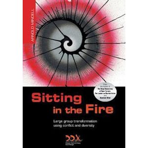 Arnold Mindell Sitting In The Fire: Large Group Transformation Using Conflict And Diversity