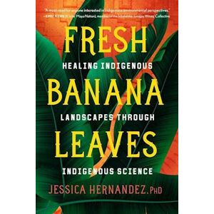 Jessica Hernandez Fresh Banana Leaves