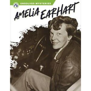 Sue Gagliardi Amelia Earhart