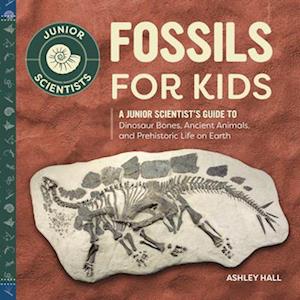 Ashley Hall Fossils For Kids