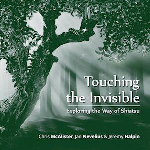 Chris McAlister Touching The Invisible