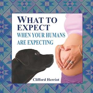 Clifford Herriot What To Expect When Your Humans Are Expecting