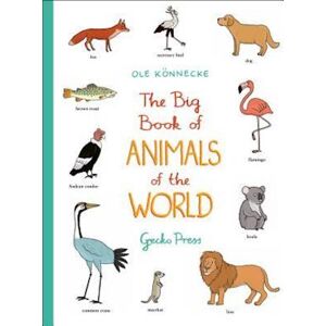 Ole Könnecke The Big Book Of Animals Of The World