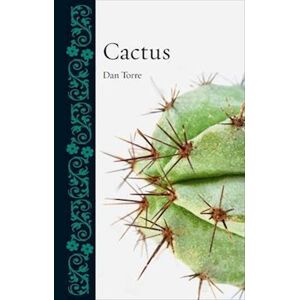 Dan Torre Cactus
