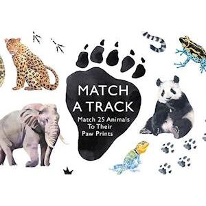 Match A Track