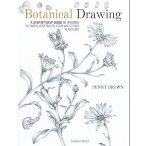 Penny Brown Botanical Drawing
