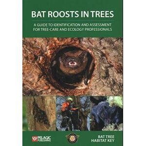 Bat Tree Habitat Key Bat Roosts In Trees