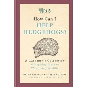 Helen Bostock Rhs How Can I Help Hedgehogs?