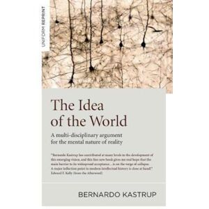 Bernardo Kastrup Idea Of The World, The