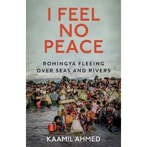 Kaamil Ahmed I Feel No Peace