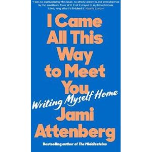 Jami Attenberg I Came All This Way To Meet You