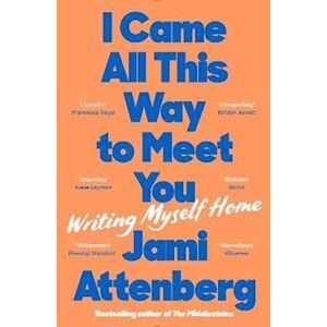 Jami Attenberg I Came All This Way To Meet You