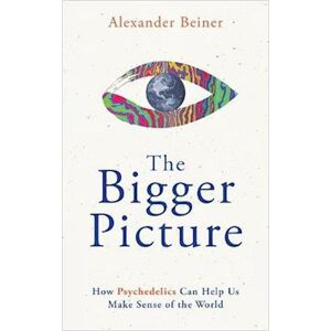 Alexander Beiner The Bigger Picture