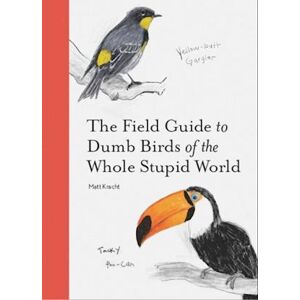 Matt Kracht The Field Guide To Dumb Birds Of Th