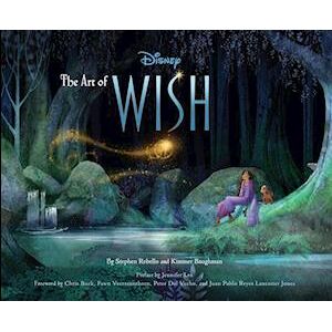 Disney The Art Of Wish