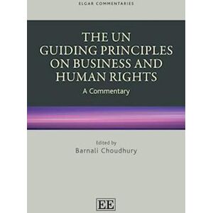 The Un Guiding Principles On Business And Human Rights