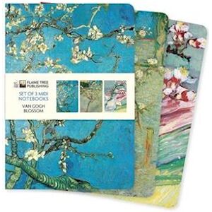 Vincent Van Gogh: Blossom Set Of 3 Midi Notebooks