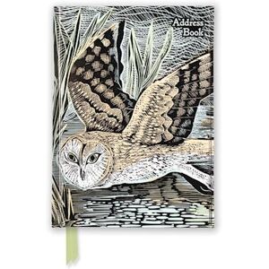 Angela Harding: Marsh Owl (Address Book)