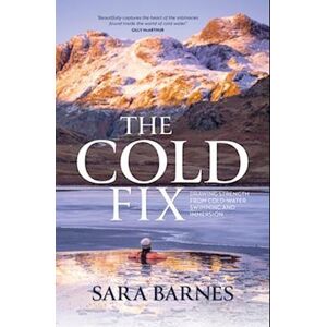 Sara Barnes The Cold Fix