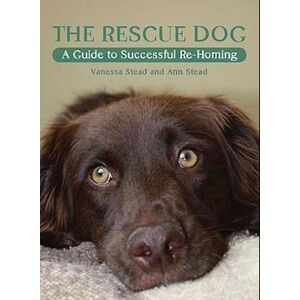 Ann Stead The Rescue Dog