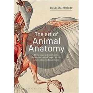 David Bainbridge The Art Of Animal Anatomy