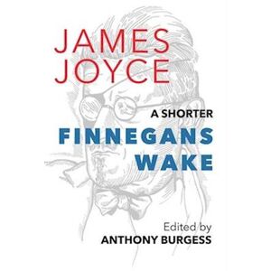 James Joyce A Shorter Finnegans Wake