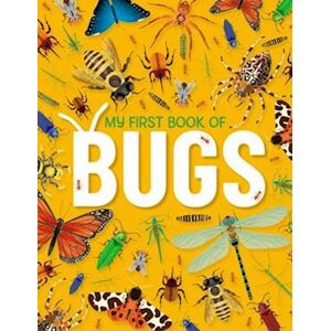 Emily Kington My First Book Of Bugs