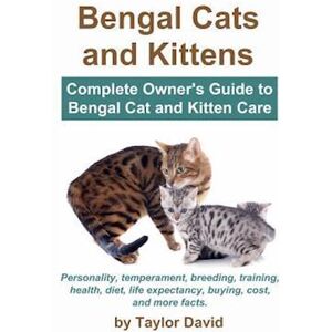 Taylor Bengal Cats And Kittens