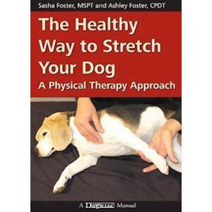 Ashley Foster The Healthy Way To Stretch Your Dog