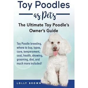 Lolly Brown Toy Poodles As Pets