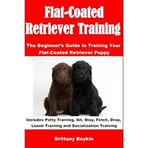 Brittany Boykin Flat-Coated Retriever Training