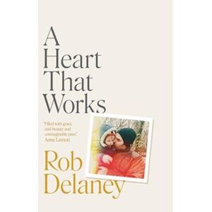 Rob Delaney A Heart That Works