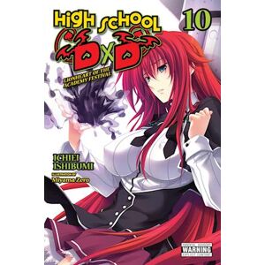 High School Dxd, Vol. 10 (Light Novel)