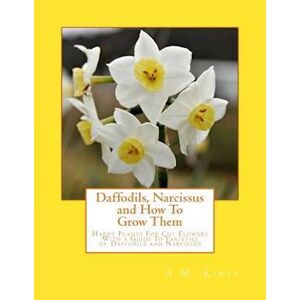 A. M. Kirby Daffodils, Narcissus And How To Grow Them