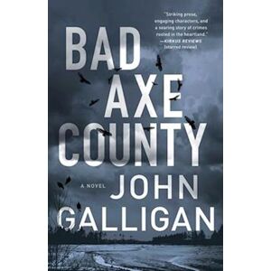 John Galligan Bad Axe County