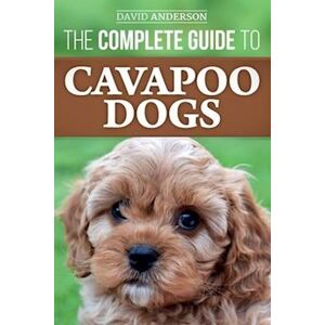 David Anderson The Complete Guide To Cavapoo Dogs: Everything You Need To Know To Successfully Raise And Train Your New Cavapoo Puppy