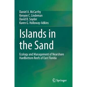 Daniel A. McCarthy Islands In The Sand