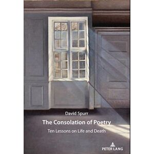 David Spurr The Consolation Of Poetry