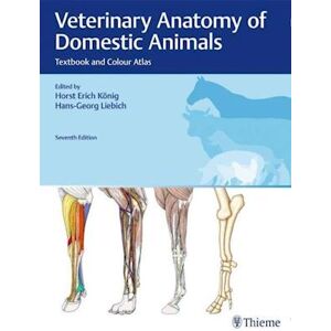 Veterinary Anatomy Of Domestic Animals