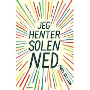 Jandy Nelson Jeg Henter Solen Ned