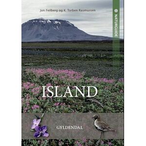 Kristian Torben Rasmussen Naturguide Island